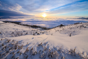 Naklejka na ściany i meble 雪に覆われた山の斜面と眼下の雲海の雄大な冬景色。雲の空の朝陽。北海道の美幌峠の朝。