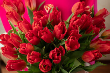 Tulip bouquet, red petals, green leaves, spring garden flowers.