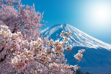 Mt Fuji and Cherry Blossom at lake Kawaguchiko in japan. - 757918995
