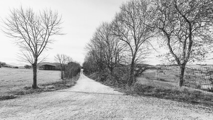 Dirt road of farm, beautiful rural landscape