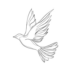 Bird fly, dove symbol peace and freedom, coloring line drawing. Simple abstract outline beautiful bird. World dove sign. Vector illustration