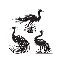 Rhea Vector Silhouette: A Majestic Silhouette Encompassing the Grace of South American Wilderness in Vector Form, Rhea Black Illustration.