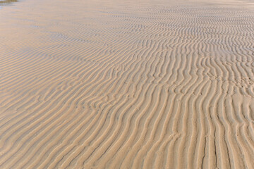 ripples in wet sand on beach at low tide
