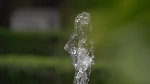 Fuente de agua y paloma