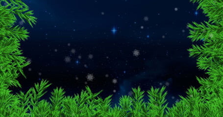 Image of snow falling with fir tree frame and copy space over stars and night sky