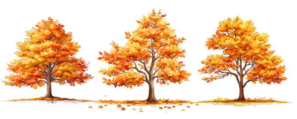 3 Autumn trees watercolor illustration clipart, minimal tree, orange trees, isolated on white background, nature