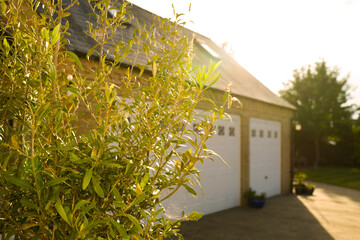 Shallow focus of young bamboo seen obscuring a large, double garage at the back of a large house in summertime. Expensive cars are stored in the double garage.