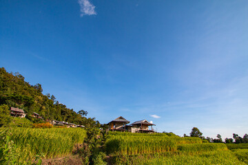 Terraced rice fields, good atmosphere - 757929503