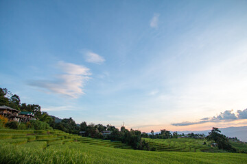 Terraced rice fields, good atmosphere - 757929770
