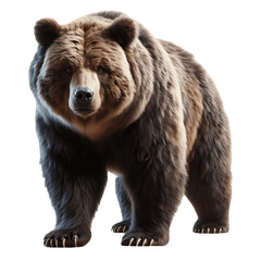 Magnificent Bear PNG: High-Quality Image of Majestic Wildlife Creature - Bear PNG, Bear Transparent Background - Bear PNG Image
