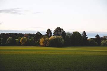 Green fields in rural Sweden