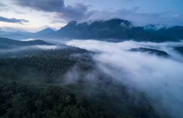 Aerial view of foggy forest and mountain in the morning.