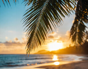 Beautiful tropical nature beach sea ocean with coconut palm tree at sunset or sunrise time for...