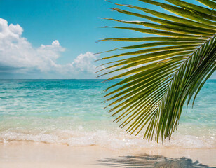 Fototapeta na wymiar Beautiful tropical beach with coconut palm tree - boost up color processing