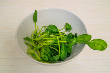 A bowl of greens with a few leaves sticking out of the bowl. The greens are fresh and healthy