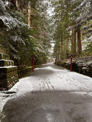 雪が積もった神社の参道