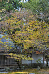 Fototapeta na wymiar 日本　滋賀県大津市にある延暦寺の西塔の浄土院と紅葉