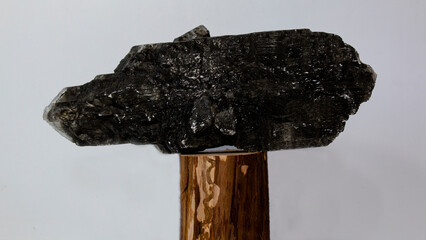 Gypsum crystal. Paleontological findings. Ancient fossils.