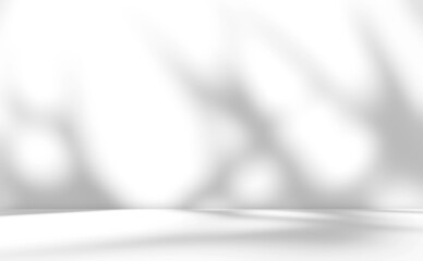 Empty white room with yucca plant leaves shadow overlay effect sunlight. Cosmetic beauty product presentation display room. Summer Spring Winter backdrop. Minimal Mock up interior design rooms. 