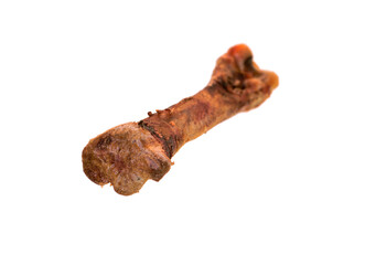 bone isolated on white background