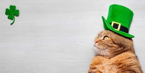 Ginger cat in a green hat with copy space. St.Patrick 's Day.
