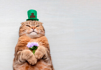 A ginger cat lies in a green hat with a bouquet of flowers on a light background with sun rays.