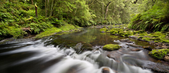 Catlins River, Southland, Südinsel, Neuseeland