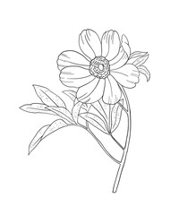 Coloring page for adults. Line art coloring activity. Beautiful hand-drawn flower.  Mindful coloring for stress relief. Vector illustration