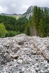 Rocky Terrain and Lush Forest at Rasen-Antholz, Italy