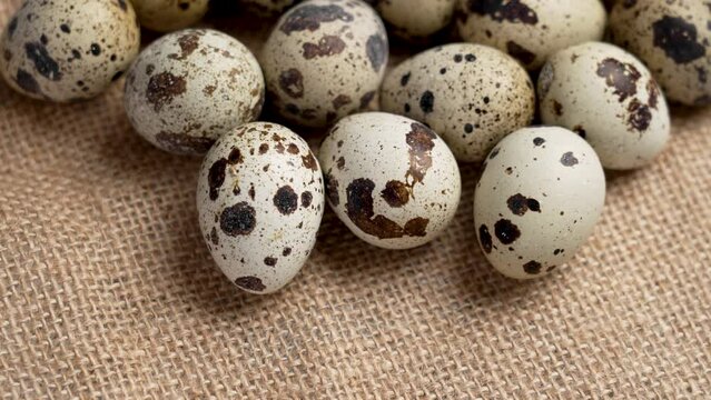 Fresh spotted quail eggs on a rough sack cloth. Raw farm ingredient. Rustic style.