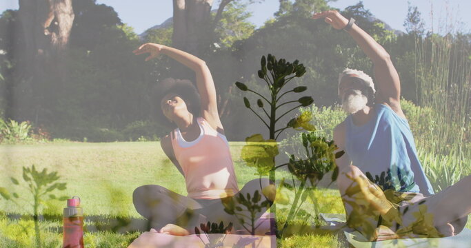Fototapeta Image of plants over african american couple doing yoga, stretching, slow motion