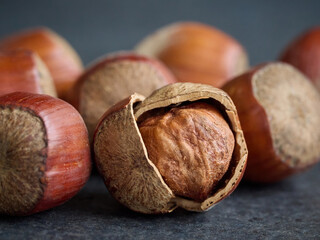 Hazelnut, closeup