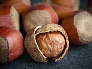 Hazelnut, closeup