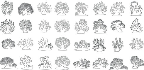 coral reef line art vector illustration, diverse coral reef outlines, showcasing underwater marine life and ecosystem. Ideal for educational, environmental, and scientific use