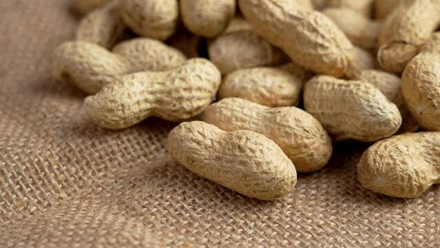 Dried peanuts in peel on a rough sack cloth close up. Whole groundnuts. Rotation