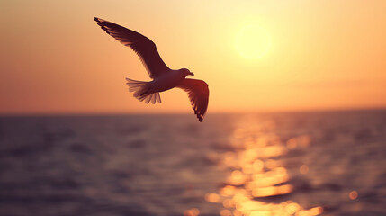 Fototapeta na wymiar seagull in the sunset over sea (3)