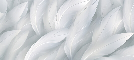 White feathers background