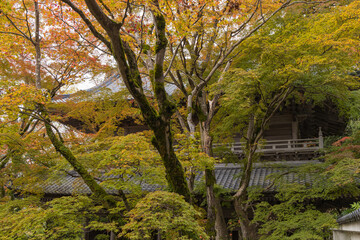 日本　滋賀県東近江市にある永源寺の山門と紅葉