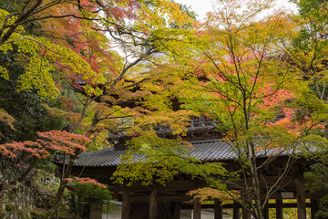 日本　滋賀県東近江市にある永源寺の山門と紅葉