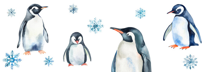 Illustration of penguins and snowflakes painted in watercolor