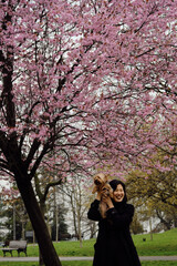 A young pretty Asian woman walks in a spring park with a decorative dog and smiling. Female pet owner poses with a Yorkshire terrier against of pink sakura in the center of Belgrade.