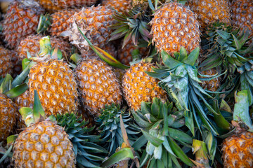 January 25, 2024: scene of a rural market in Vi Thanh city, An Giang province, Vietnam