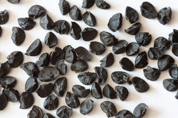 Close-up view of onion seeds on white background. Growing fresh organic vegetables concept. White paper backdrop. Spring gardening. Macro, flat lay, top view