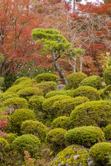 日本　滋賀県東近江市にある湖東三山の一つ、百済寺の本坊喜見院から見える本坊庭園と紅葉
