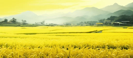 Foto op Plexiglas Serene Rice Field Landscape with Majestic Mountains in the Distant Horizon © Ilgun