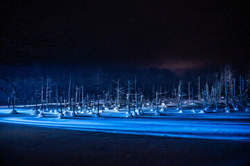 ライトアップした北海道美瑛町の青い池