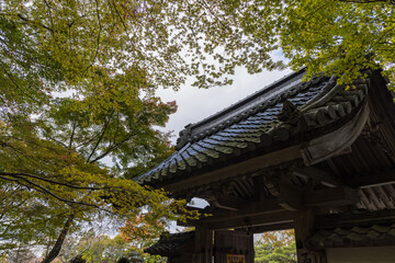 日本　滋賀県東近江市にある湖東三山の一つ、百済寺の表門と紅葉