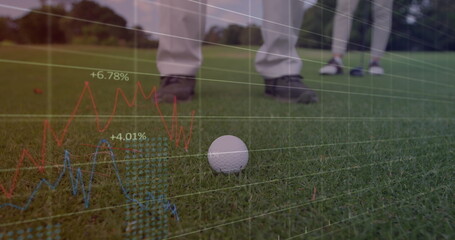 Image of data processing over male golf players