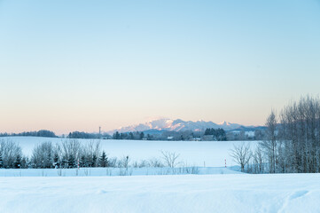 Obraz premium 冬の北海道美瑛町の風景