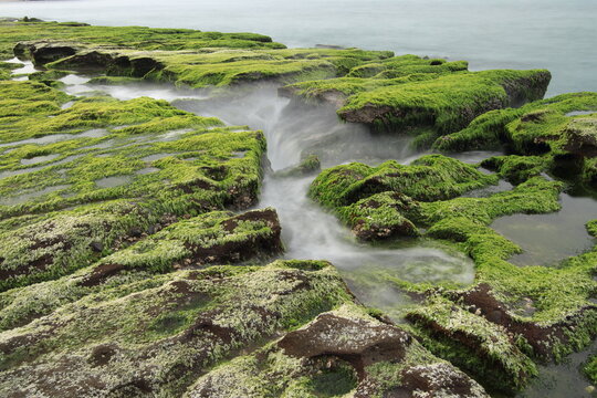 Massive green algae cover the rocky coastline of Laomei in northern Taiwan every spring, coupled with waves surging up along rock fissures during high tide, creates a fascinating and romantic scenery.